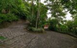 Maison à vendre à Ubud — Vue nature — photo 11