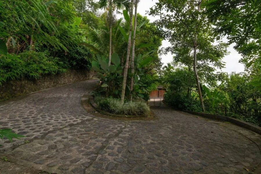 Maison à vendre à Ubud — Vue nature — photo 11
