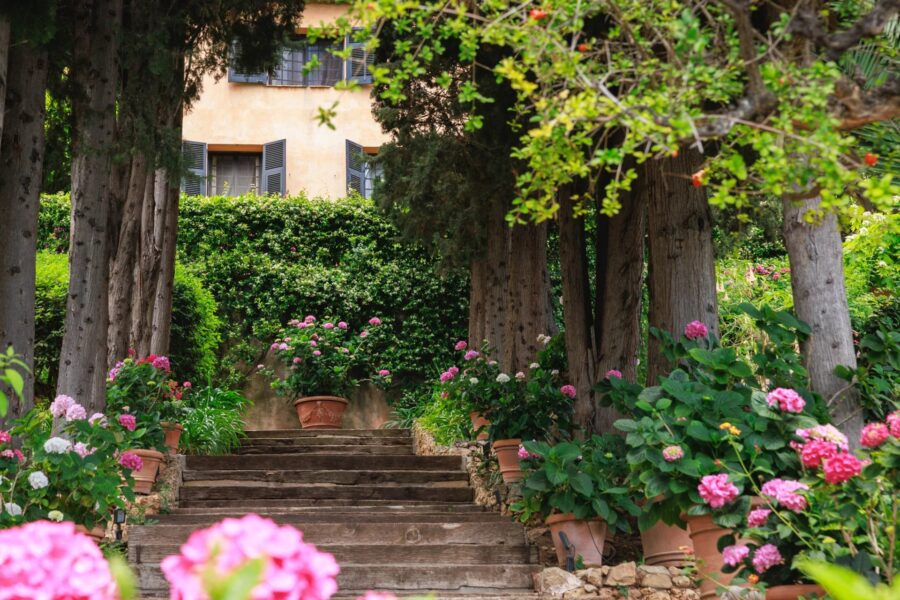 Maison à vendre à Roquebrune-cap-martin — Vue mer — photo 13