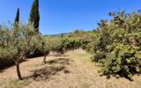 Maison à vendre à Seillans — Vue montagne — photo 19