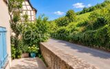 Maison à vendre à Riquewihr — Vue nature — photo 10