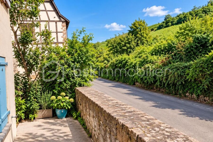 Maison à vendre à Riquewihr — Vue nature — photo 10