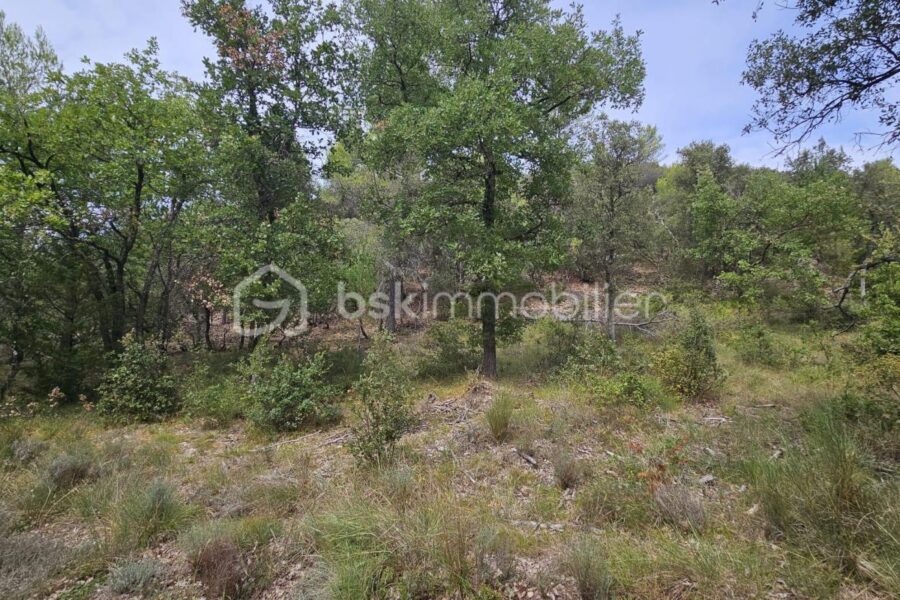 Terrain à vendre à Oraison — Vue dégagée — photo 9