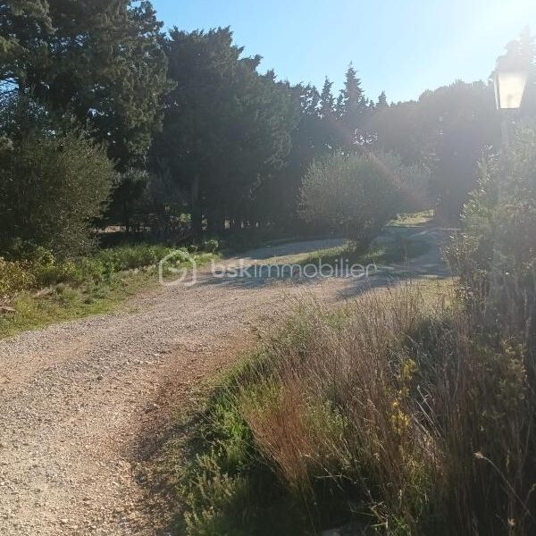 Maison à vendre à Saint hilaire d ozilhan — Vue nature — photo 9