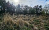 Maison à vendre à Melay — Vue nature — photo 9