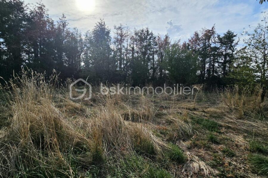 Maison à vendre à Melay — Vue nature — photo 9