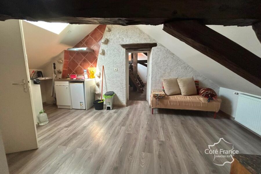 Maison à vendre à Laroche saint cydroine — Vue lac — photo 9