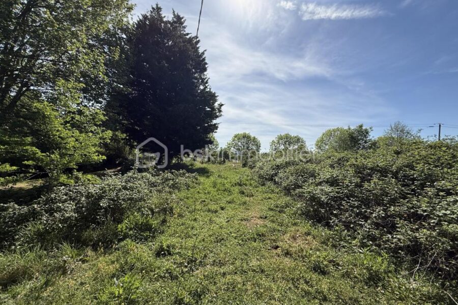 Terrain à vendre à Le mans — Vue dégagée — photo 9