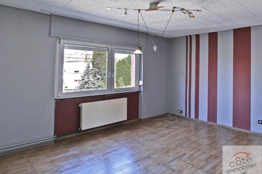 Maison à vendre à Sarreguemines — Vue nature — photo 7