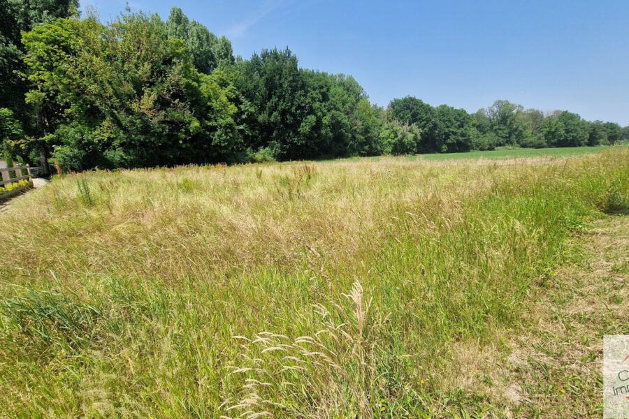 Terrain à vendre à Le val saint germain — Vue nature — photo 1