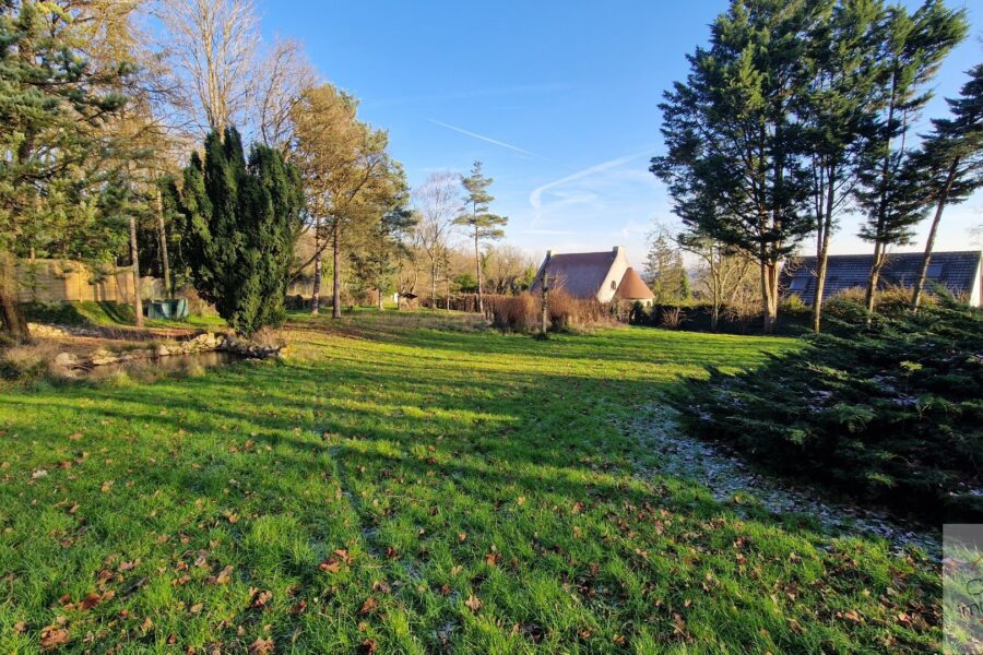 Terrain à vendre à Villeconin — Vue dégagée — photo 1