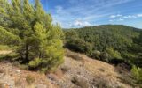 Terrain à vendre à Figanières — Vue nature — photo 4