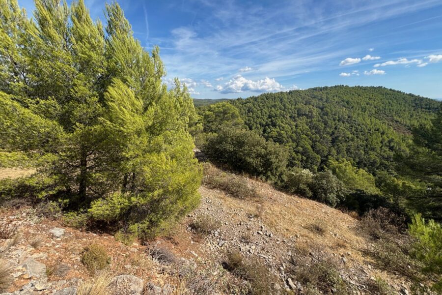 Terrain à vendre à Figanières — Vue nature — photo 4