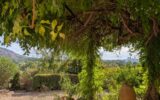 Maison à vendre à Taradeau — Vue nature — photo 9