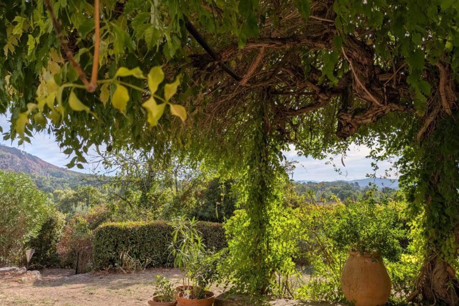 Maison à vendre à Taradeau — Vue nature — photo 9