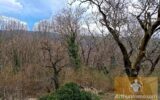Maison à vendre à Saint-pierre-de-nogaret — Vue nature — photo 1