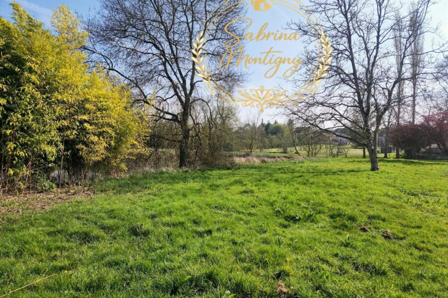 Maison à vendre à Cheillé — Vue nature — photo 20