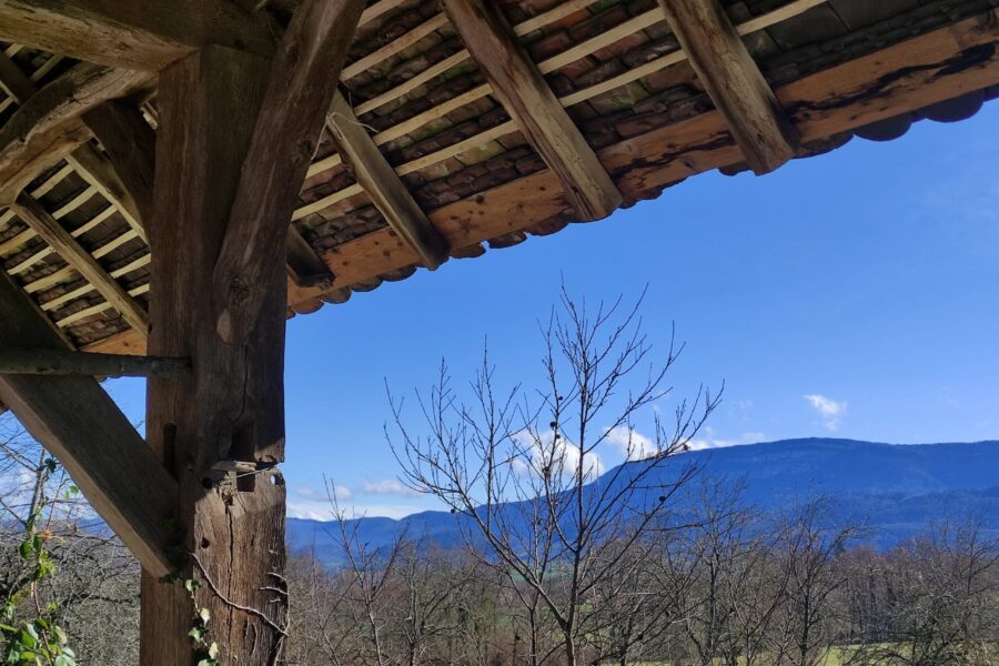 Maison à vendre à Saint-jean-d&rsquo;avelanne — Vue nature — photo 12