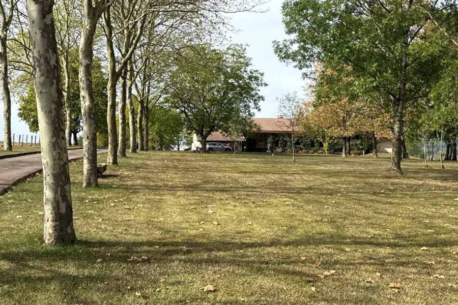 Maison à vendre à Liffol-le-grand — Vue nature — photo 2