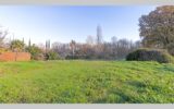 Maison à vendre à Roquebrune-sur-argens — Vue nature — photo 11