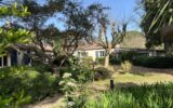 Maison à vendre à Saint-rémy-de-provence — Vue parc & jardin — photo 6