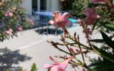 Appartement à vendre à Cavalaire-sur-mer — Vue parc & jardin — photo 2