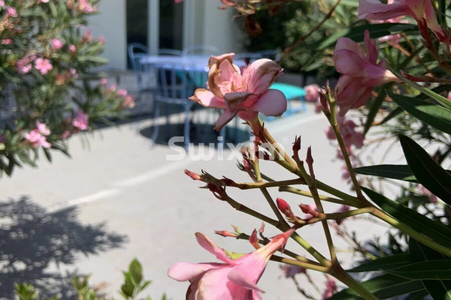 Appartement à vendre à Cavalaire-sur-mer — Vue parc & jardin — photo 2