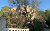 Maison à louer à Montferrier sur lez — Vue nature — photo 3