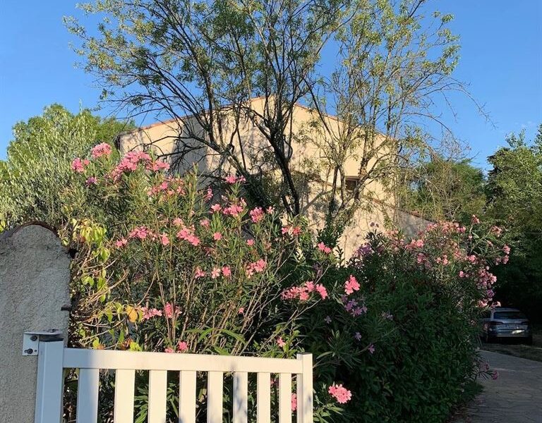 Maison à louer à Montferrier sur lez — Vue nature — photo 3