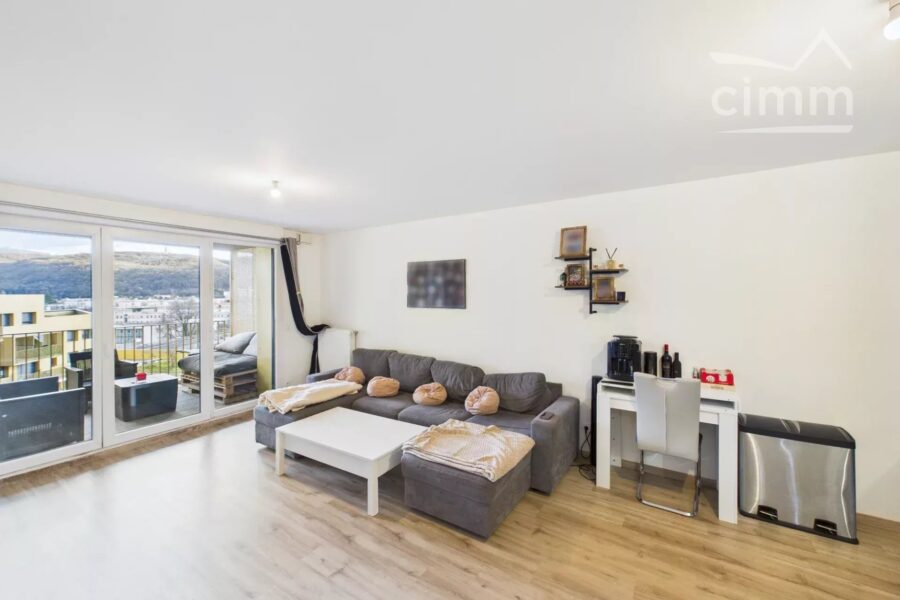 Appartement à vendre à Échirolles — Vue sur la ville — photo 5