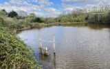 Terrain à vendre à Nozay — Vue lac — photo 1