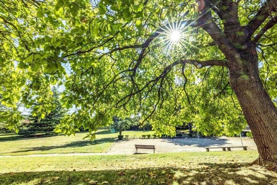 Appartement à vendre à Le pecq — Vue nature — photo 12