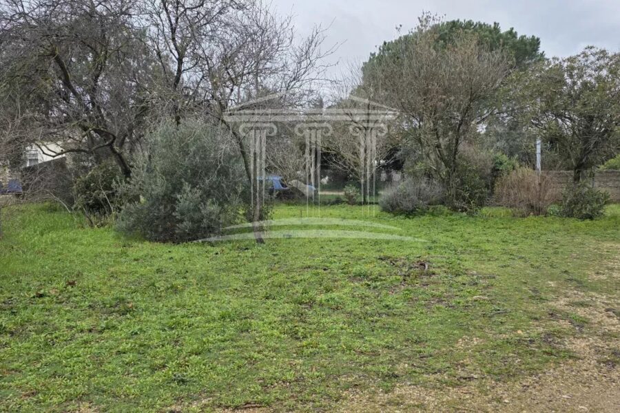 Terrain à vendre à Sorgues — Vue dégagée — photo 1