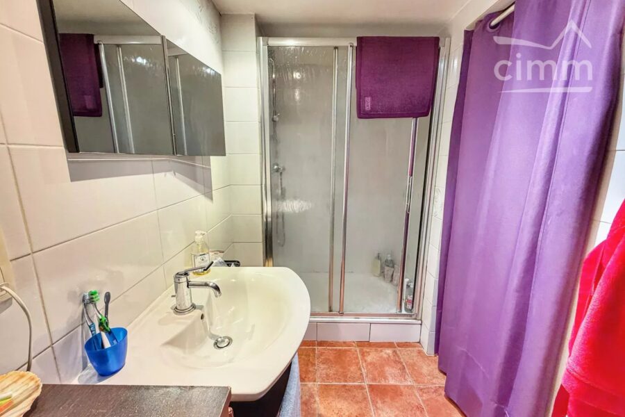 Appartement à vendre à Montmélian — Vue montagne — photo 5
