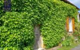 Maison à vendre à Sussey — Vue nature — photo 8