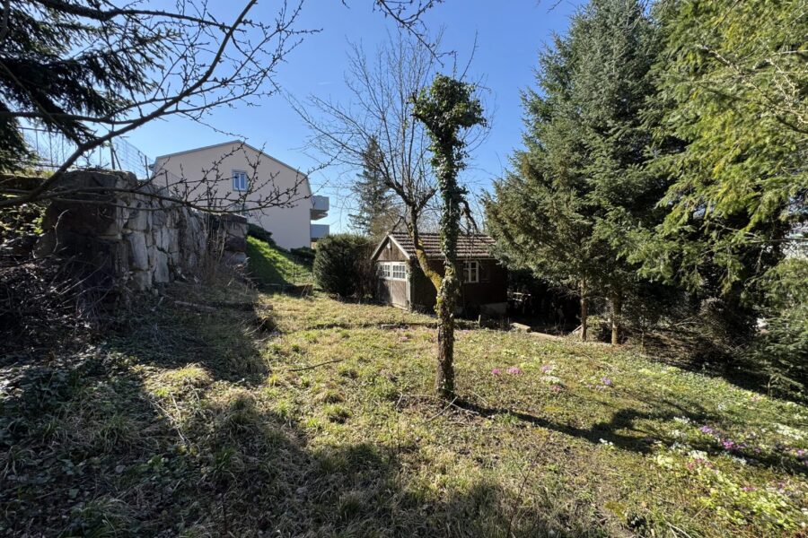 Terrain à vendre à Altkirch — Vue nature — photo 7