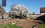 Maison à vendre à Bligny-sur-ouche — Vue parc & jardin — photo 4
