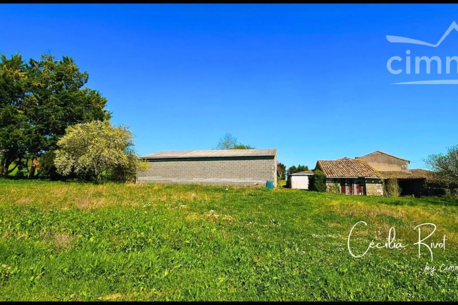 Maison à vendre à Saint-martial-de-mirambeau — Vue nature — photo 34