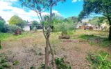 Terrain à vendre à Uchaud — Vue dégagée — photo 2
