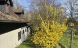 Maison à vendre à Burnhaupt-le-bas — Vue montagne — photo 20