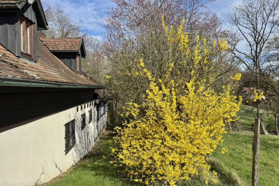 Maison à vendre à Burnhaupt-le-bas — Vue montagne — photo 20