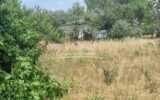 Terrain à vendre à Sorgues — Vue dégagée — photo 2