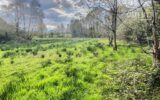 Terrain à vendre à Nozay — Vue lac — photo 4