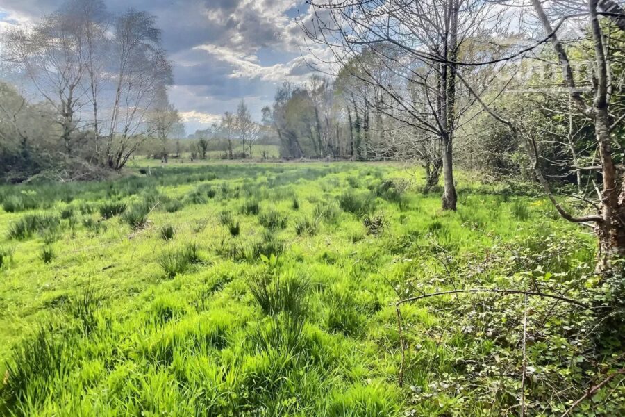 Terrain à vendre à Nozay — Vue lac — photo 4