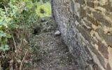 Maison à vendre à Saint-pierre-de-nogaret — Vue nature — photo 18