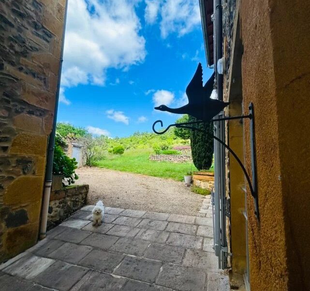 Maison à vendre à Aurec-sur-loire — Vue fleuve — photo 11