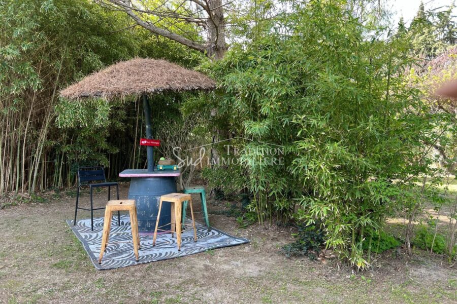Maison à vendre à Saint-rémy-de-provence — Vue parc & jardin — photo 12