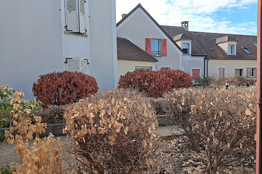 Appartement à vendre à Chessy — Vue parc & jardin — photo 14