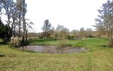 Maison à vendre à Cheillé — Vue nature — photo 19