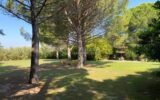 Maison à vendre à Saint-rémy-de-provence — Vue parc & jardin — photo 15